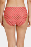 Zivame Zellij Dreams Low Rise Full Coverage Hipster Panty - Spiced Coral — thumbnail 3
